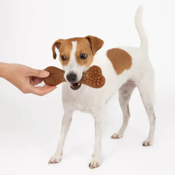 Silver Paw Silver Paw Bambooz Recycled Bamboo Fiber Dog Toys 3-Pack; Small