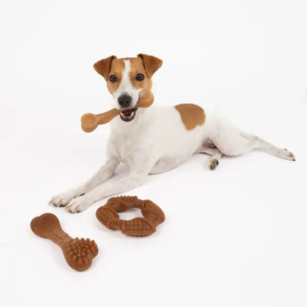 Silver Paw Silver Paw Bambooz Recycled Bamboo Fiber Dog Toys 3-Pack; Small