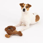 Silver Paw Silver Paw Bambooz Recycled Bamboo Fiber Dog Toys 3-Pack; Small
