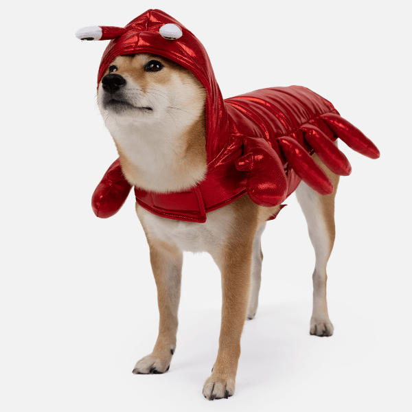 Silver Paw Lobster Costume