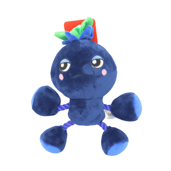 Silver Paw Silver Paw Ropez Ropefruit Blueberry Dog Toy