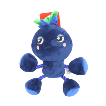Silver Paw Silver Paw Ropez Ropefruit Blueberry Dog Toy