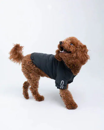 Silver Paw Silver Paw Yves Padded Winter Dog Jacket
