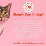 Skouts Honor Skout's Honor Cat Urine & Odor Destroyer Spray