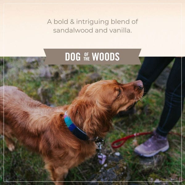 Skouts Honor Skout's Honor Probiotic Shampoo & Conditioner; Dog of the Woods