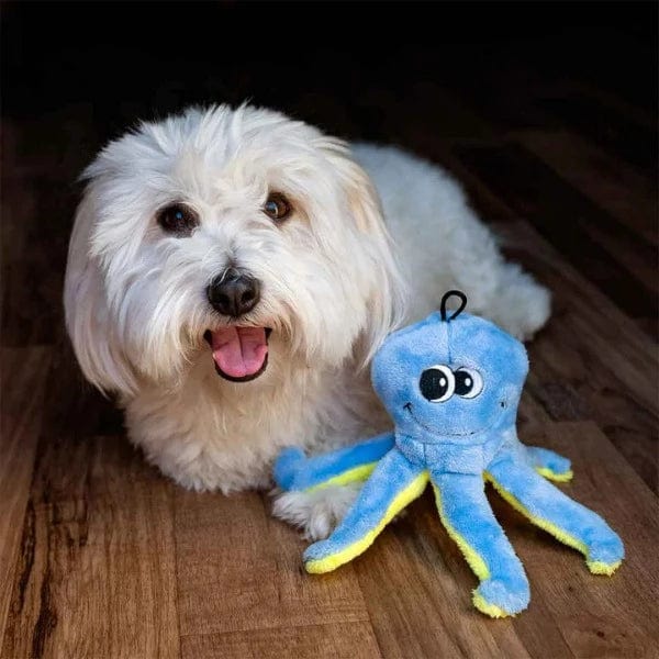 tender tuffs Easy Grab Curly Octopus Plush Dog Toy