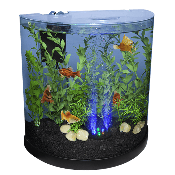 Tetra Bubbling LED Kit - 3 Gallons Half Moon Aquarium