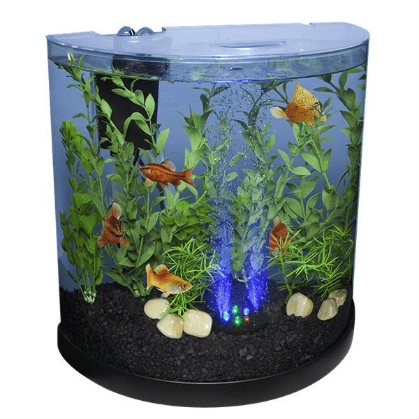 Spectrum Tetra Bubbling LED Kit - 3 Gallons Half Moon Aquarium