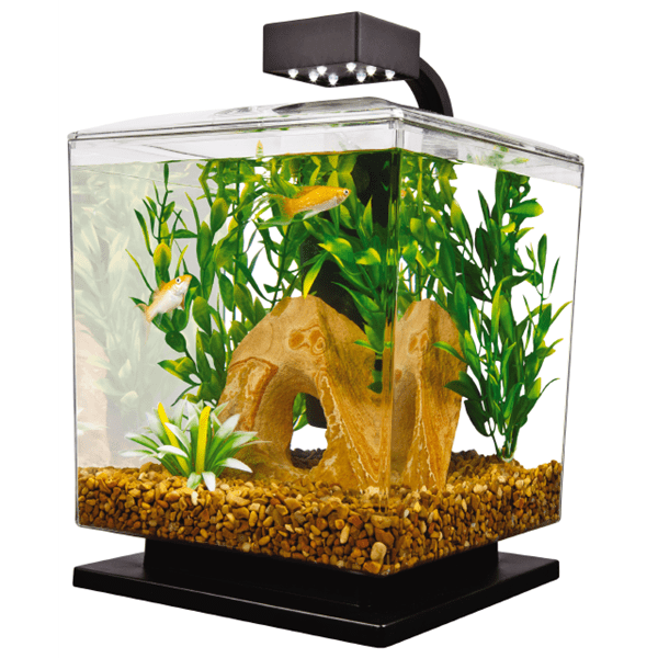 Spectrum Tetra LED Aquarium Kit - 1.5 Gallon Cube