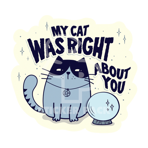 Sticker Pack Cat Sayings - Right About You; Large Sticker