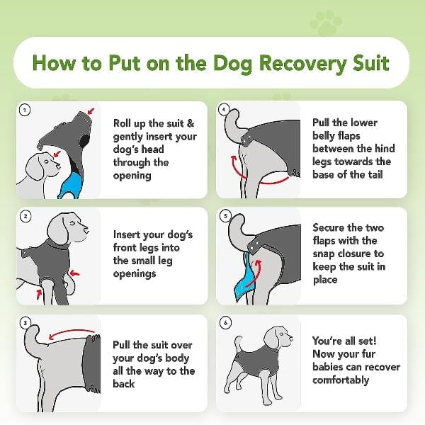 Suitical Suitical Recovery Suit for Dogs