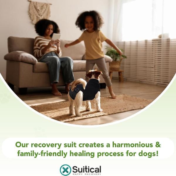 Suitical Suitical Recovery Suit for Dogs