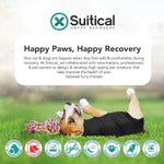 Suitical Suitical Recovery Suit for Dogs