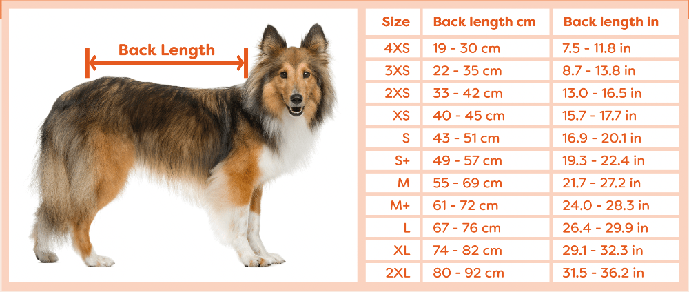 Suitical Suitical Recovery Suit for Dogs
