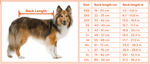 Suitical Suitical Recovery Suit for Dogs