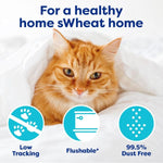 sWheat Scoop sWheat Scoop Original Fast Clumping Wheat Cat Litter