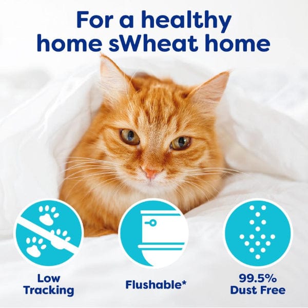 sWheat Scoop sWheat Scoop Original Fast Clumping Wheat Cat Litter