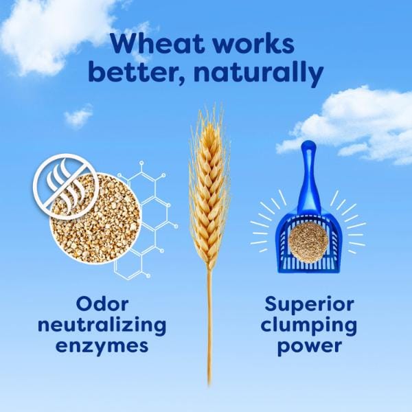 sWheat Scoop sWheat Scoop Original Fast Clumping Wheat Cat Litter