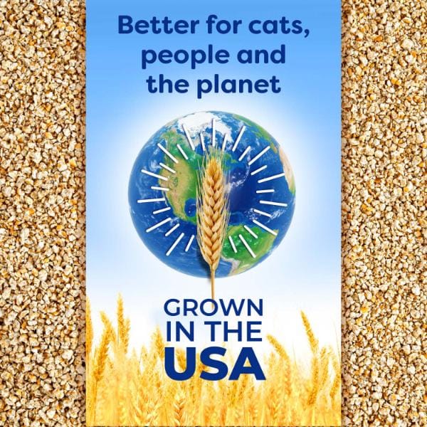 sWheat Scoop sWheat Scoop Original Fast Clumping Wheat Cat Litter