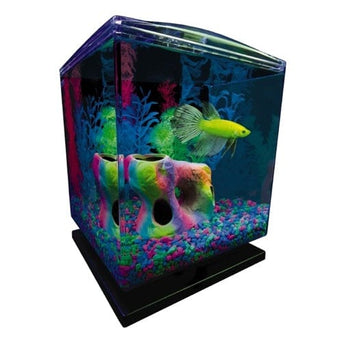 Tetra GloFish 1.5 Gallon Aquarium Kit