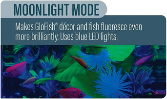 Tetra GloFish Color-Changing Cycle LED Light
