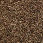Tetra Tetra BloodWorms