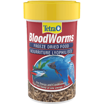 Tetra Tetra BloodWorms