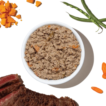 The Honest Kitchen The Honest Kitchen Butcher Block Pate | Beef, Cheddar & Farm Veggies Wet Dog Food