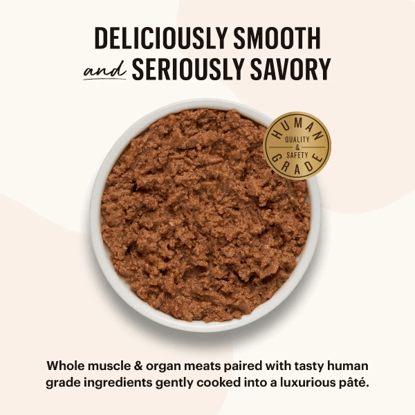 Honest kitchen cat sales food