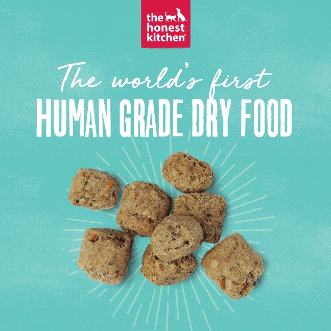 Honest kitchen sales dry dog food