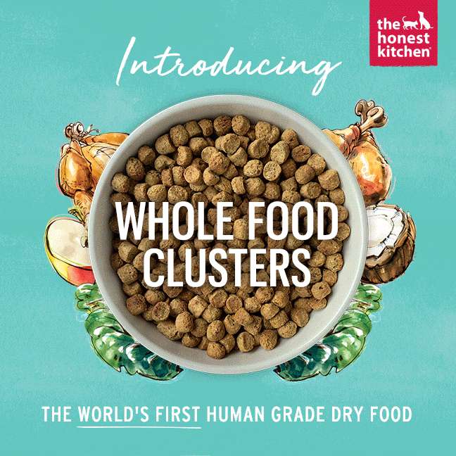 Honest kitchen top dog food clusters