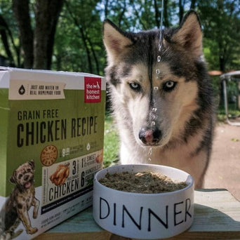 The Honest Kitchen The Honest Kitchen Grain Free Chicken Recipe Dehydrated Dog Food