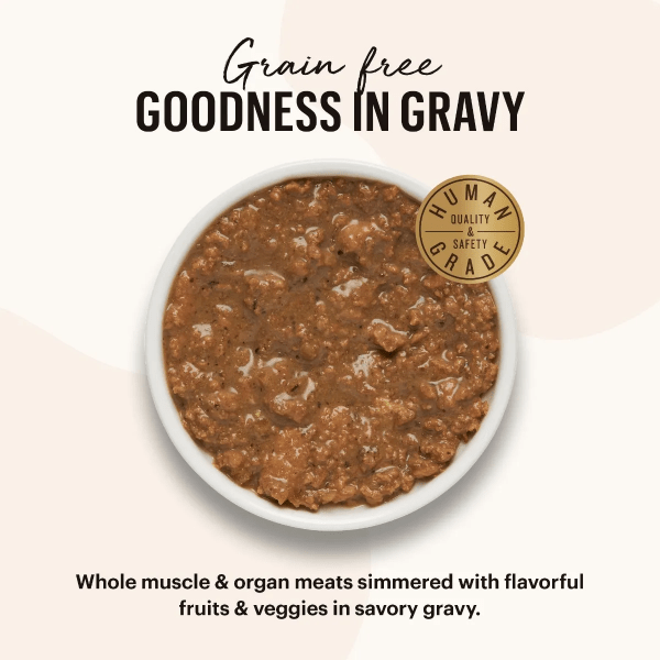 Honest kitchen grain free turkey deals