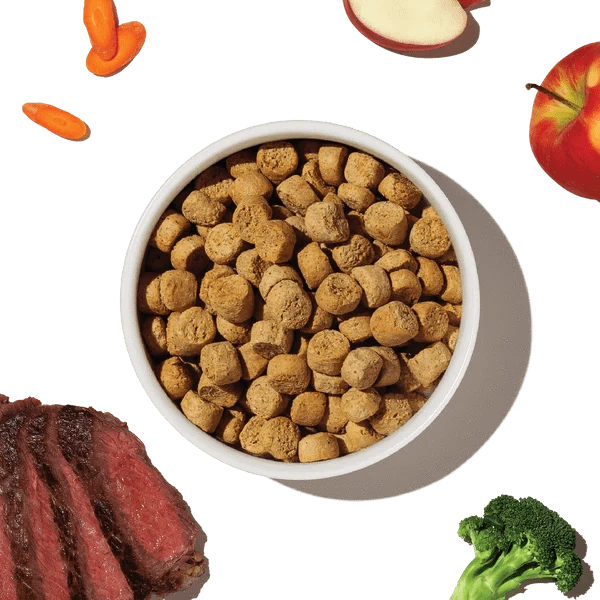 The Honest Kitchen The Honest Kitchen Whole Food Clusters | Grain Free Beef Dry Dog Food
