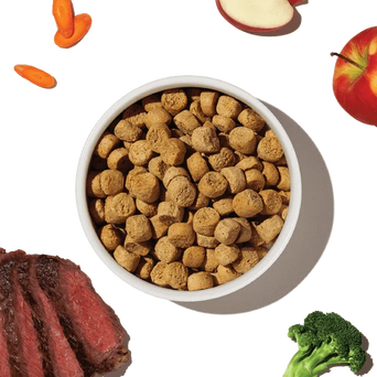 The Honest Kitchen The Honest Kitchen Whole Food Clusters | Grain Free Beef Dry Dog Food