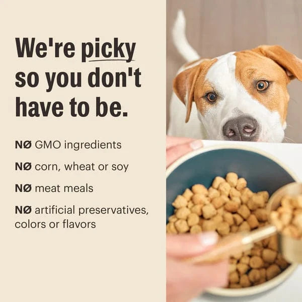 The Honest Kitchen The Honest Kitchen Whole Food Clusters | Grain Free Beef Dry Dog Food