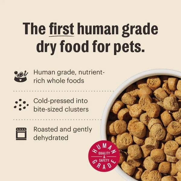 The Honest Kitchen The Honest Kitchen Whole Food Clusters | Grain Free Beef Dry Dog Food