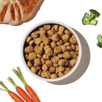 The Honest Kitchen The Honest Kitchen Whole Food Clusters | Grain Free Chicken Dry Dog Food