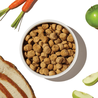 The Honest Kitchen The Honest Kitchen Whole Food Clusters | Grain Free Turkey Dry Dog Food, 5lb
