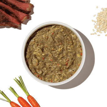 The Honest Kitchen The Honest Kitchen Whole Grain Beef Recipe Dehydrated Dog Food