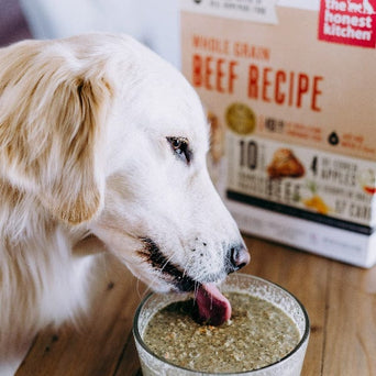 The Honest Kitchen The Honest Kitchen Whole Grain Beef Recipe Dehydrated Dog Food
