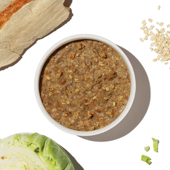 The Honest Kitchen The Honest Kitchen WholeMade | Whole Grain Turkey Recipe Dehydrated Dog Food, 10lb (SPECIAL ORDER ITEM)