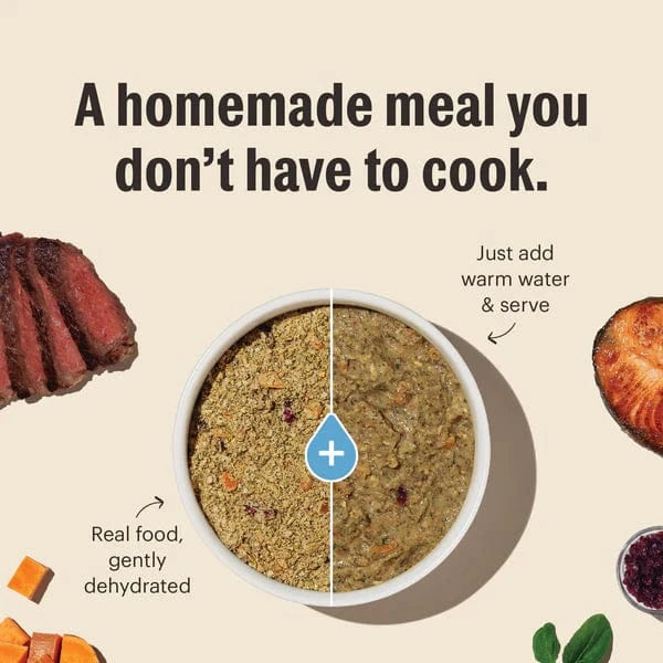 The Honest Kitchen The Honest Kitchen WholeMade | Whole Grain Turkey Recipe Dehydrated Dog Food, 10lb (SPECIAL ORDER ITEM)