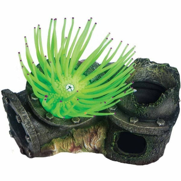 Top Shelf Pet Sea Flower Sunken Pipe Anemone Green; Available in 2 sizes