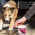 Tri-Acta TRI-ACTA H.A. Maximum Strength Joint & Mobility Supplement for Pets