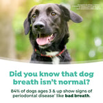 Tropiclean Tropiclean Fresh Breath Dental Water Additive For Dogs