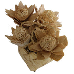 Verdant Verdant Blooming Pot Bird Toy