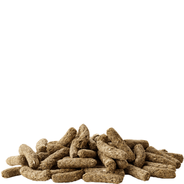 Versele-Laga Complete Cuni Adult (Rabbit) Food – Petland Canada
