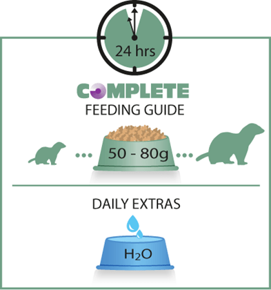 Complete sales ferret food