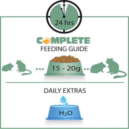 Hamster online feeding guide